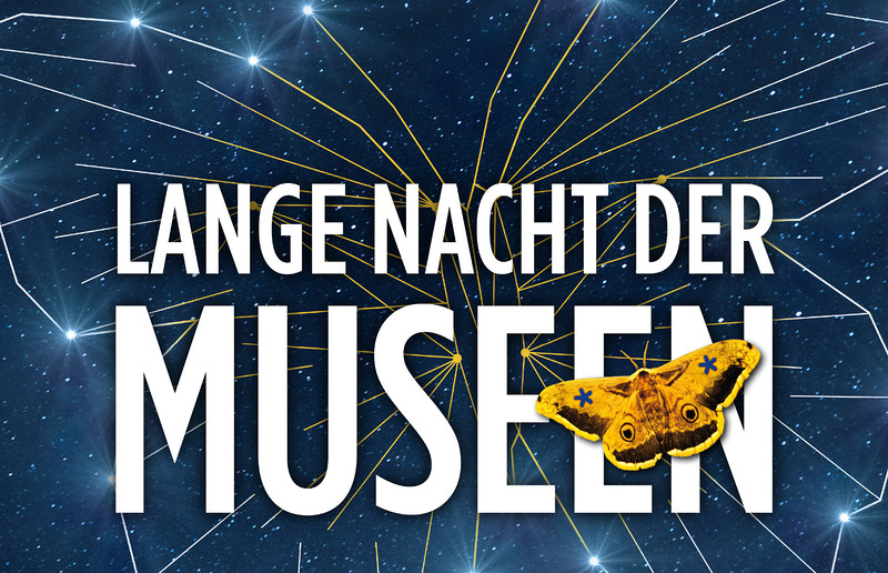 Weihnachtskrippe - Das zentrale Geschehen mit der Anbetung der Hirten